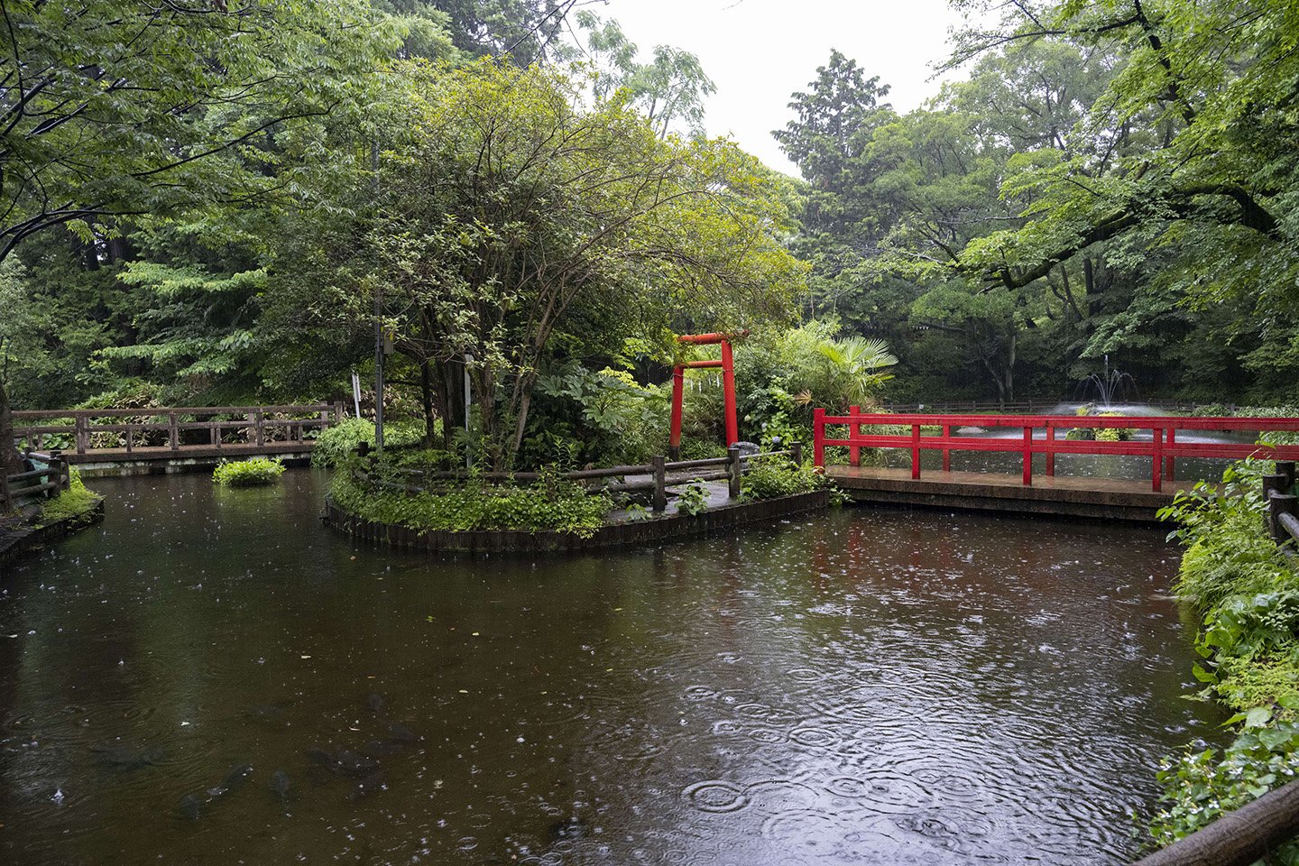 🌹 요노 공원 (Yono Park) 이미지 6